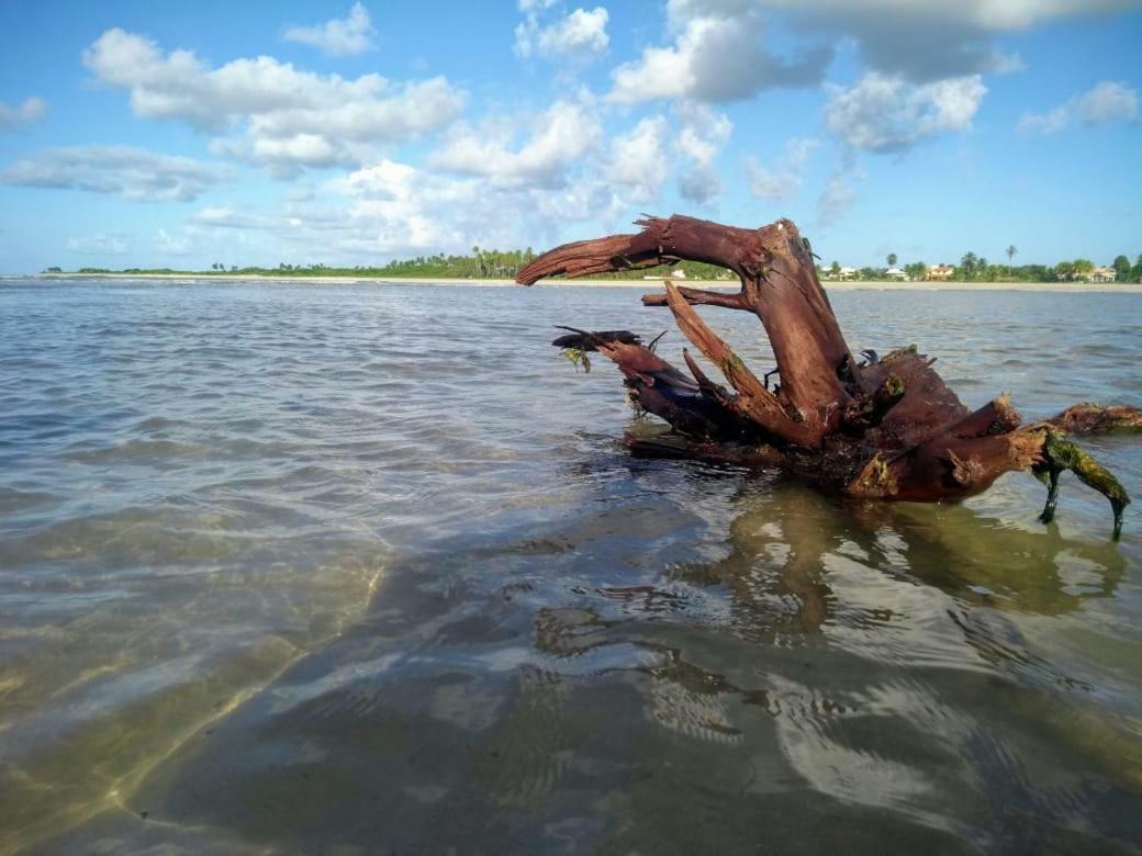 Recanto Das Folhas Paripueira Exteriér fotografie